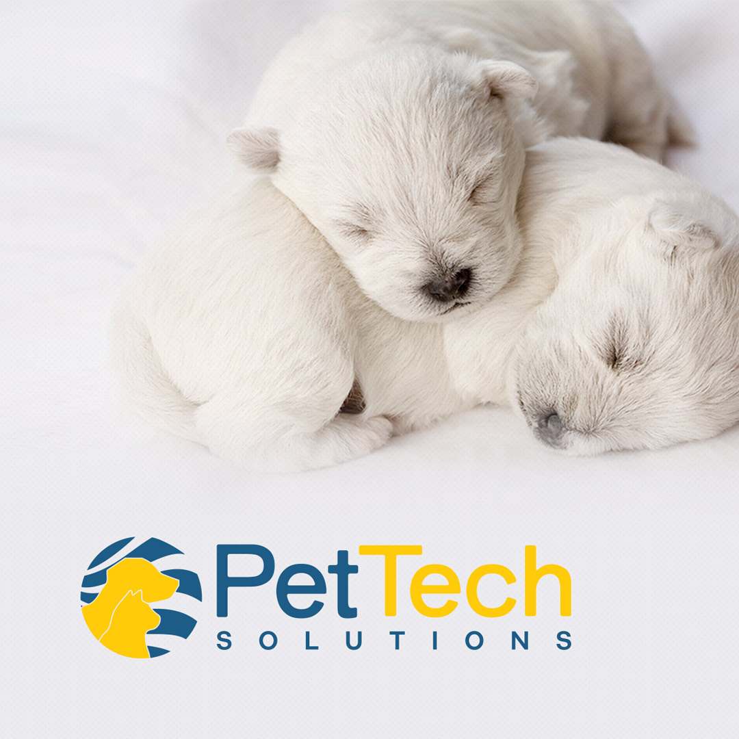 PetTech Solutions