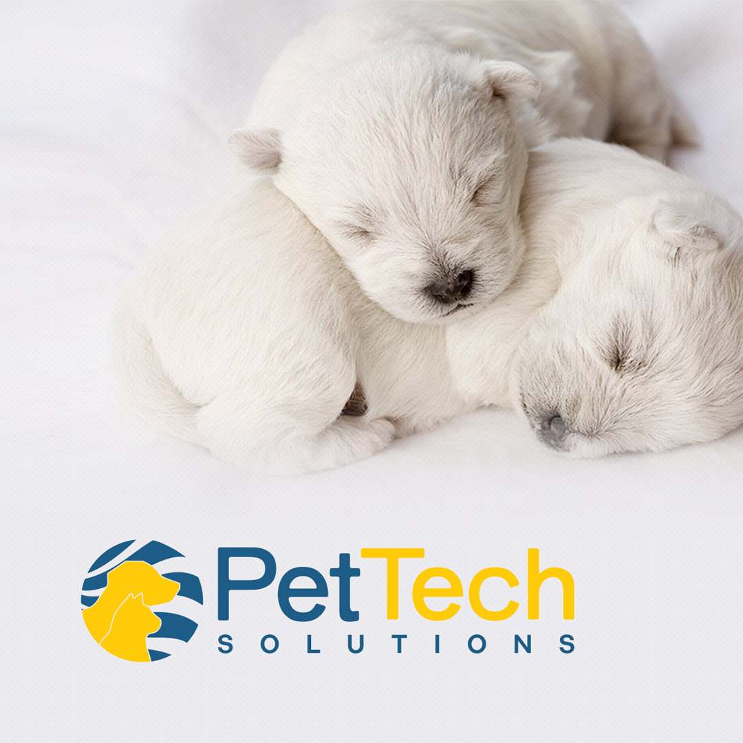 PetTech Solutions image