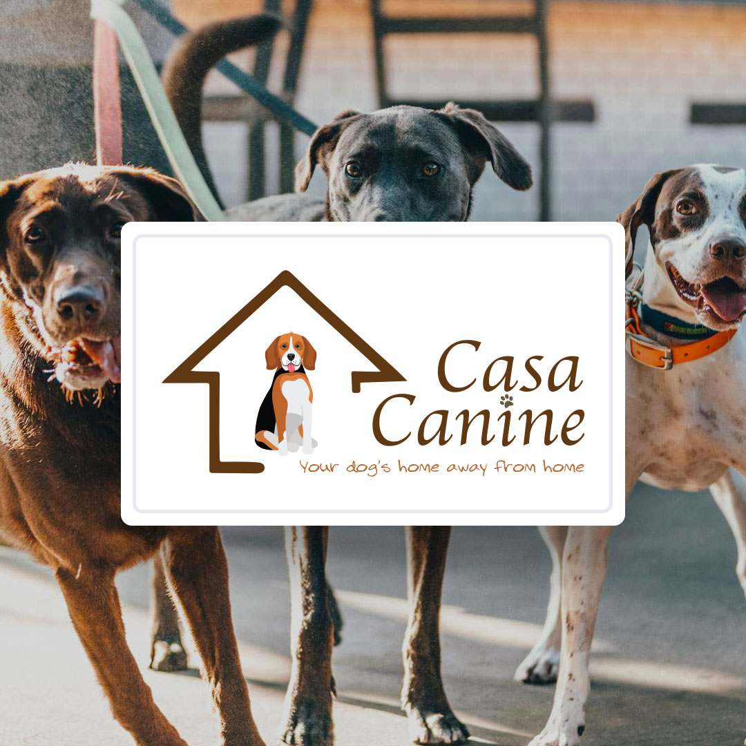 Casa Canine image